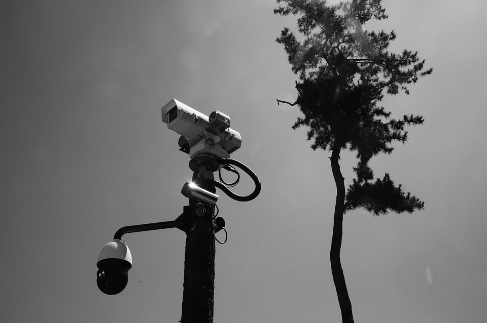 מצלמות אבטחה מוסלקות