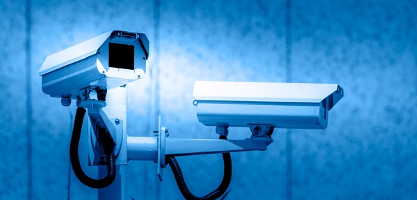 מצלמות אנליטיות אלסק