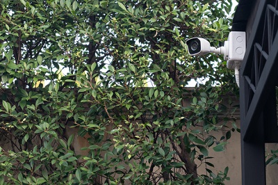 מצלמות לגינה